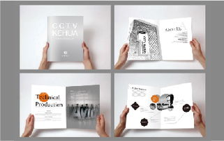 天雨案例 北京logo設(shè)計(jì)公司的一站式品牌形象構(gòu)建服務(wù)